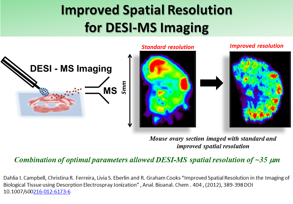 Improved Spatial Resolution for DESI-MS Imaging