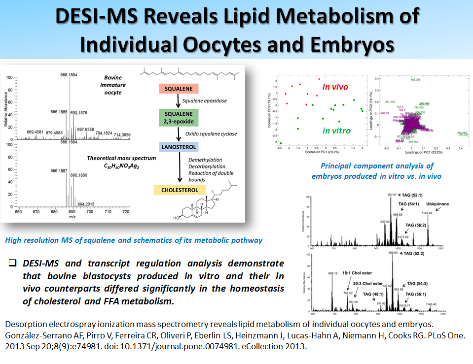DESI-MS Reveals Lipid Metabolism of Individual Oocytes and Embryos