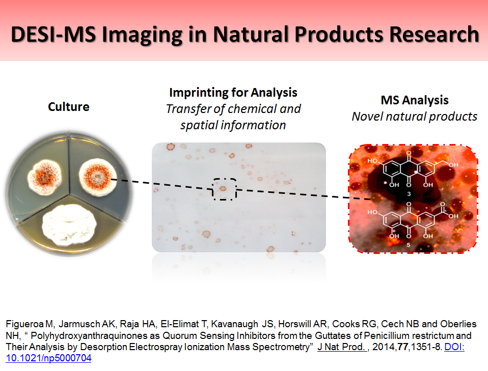 DESI-MS Imaging in Natural Products Research