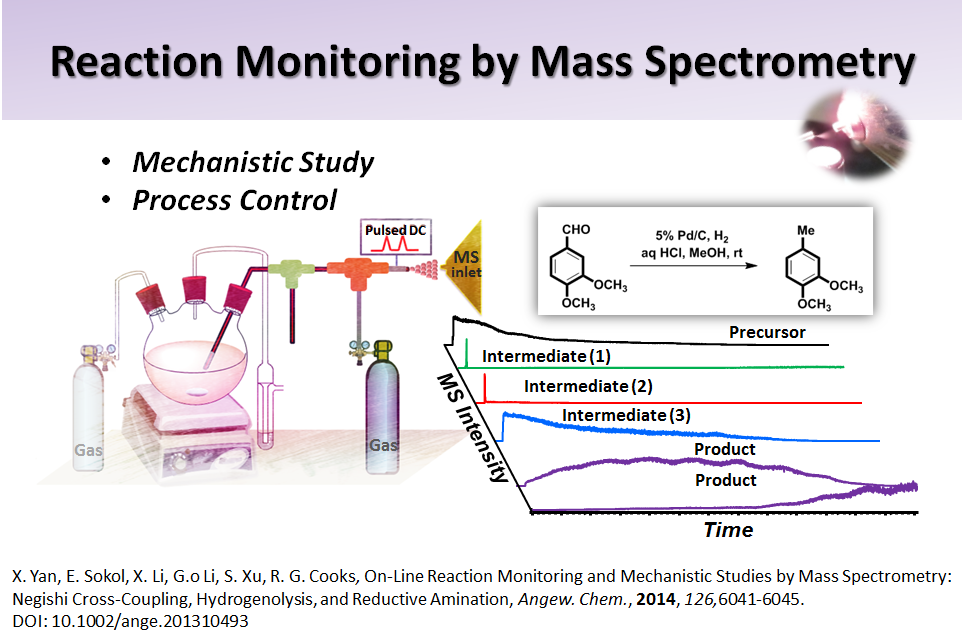 Reaction Monitoring by Mass Spectrometry