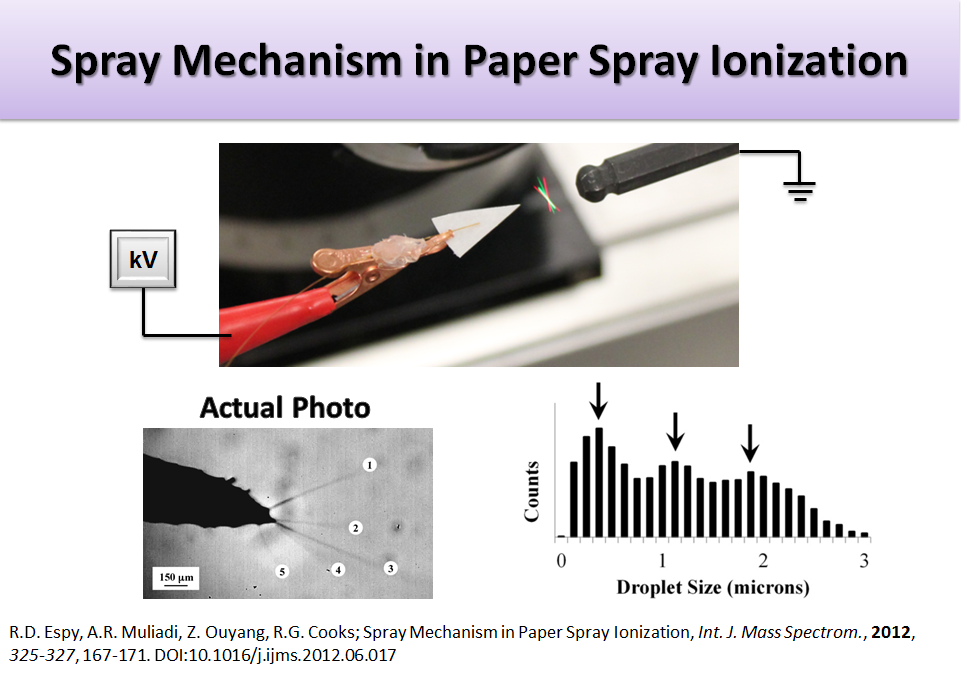 Spray Mechanism in Paper Spray Ionization