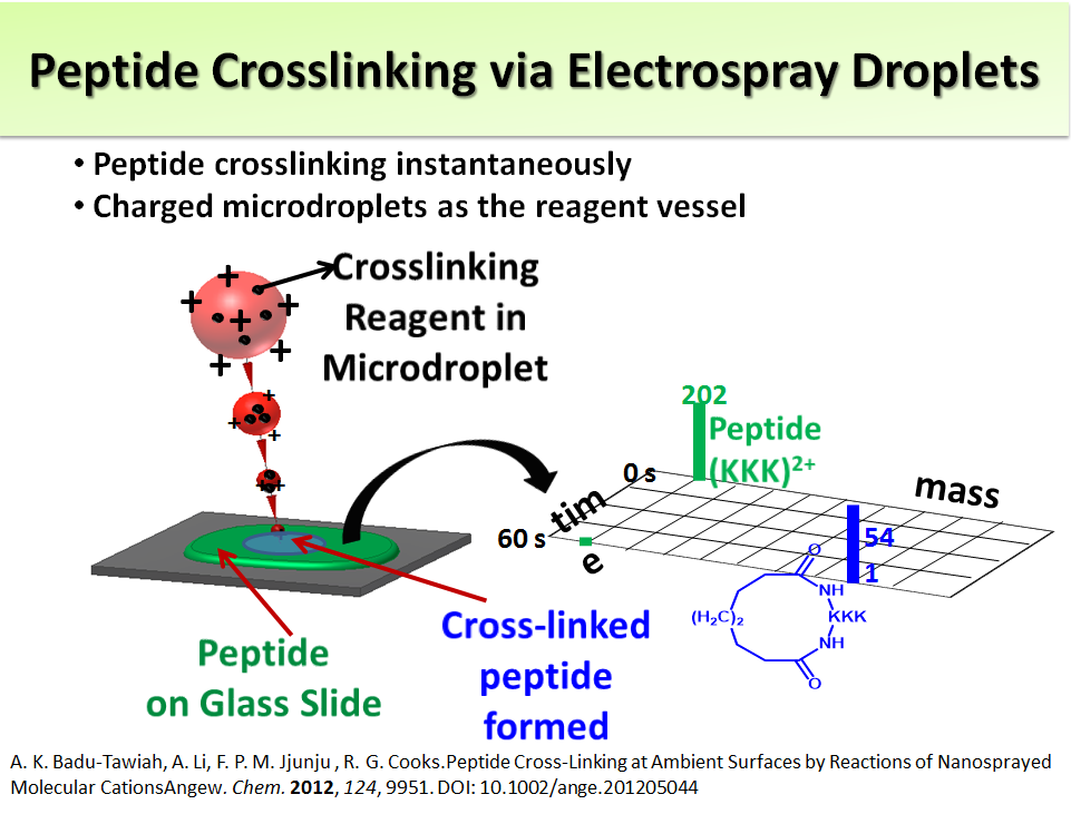 Peptide Crosslinking via Electrospray Droplets