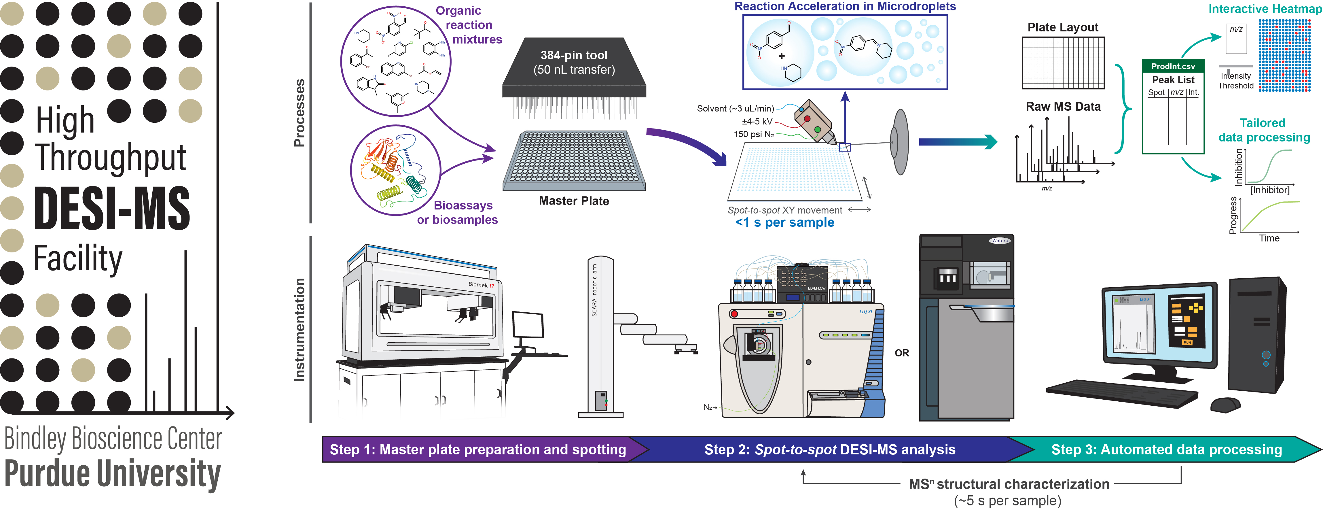 HT-DESI-MS workflow