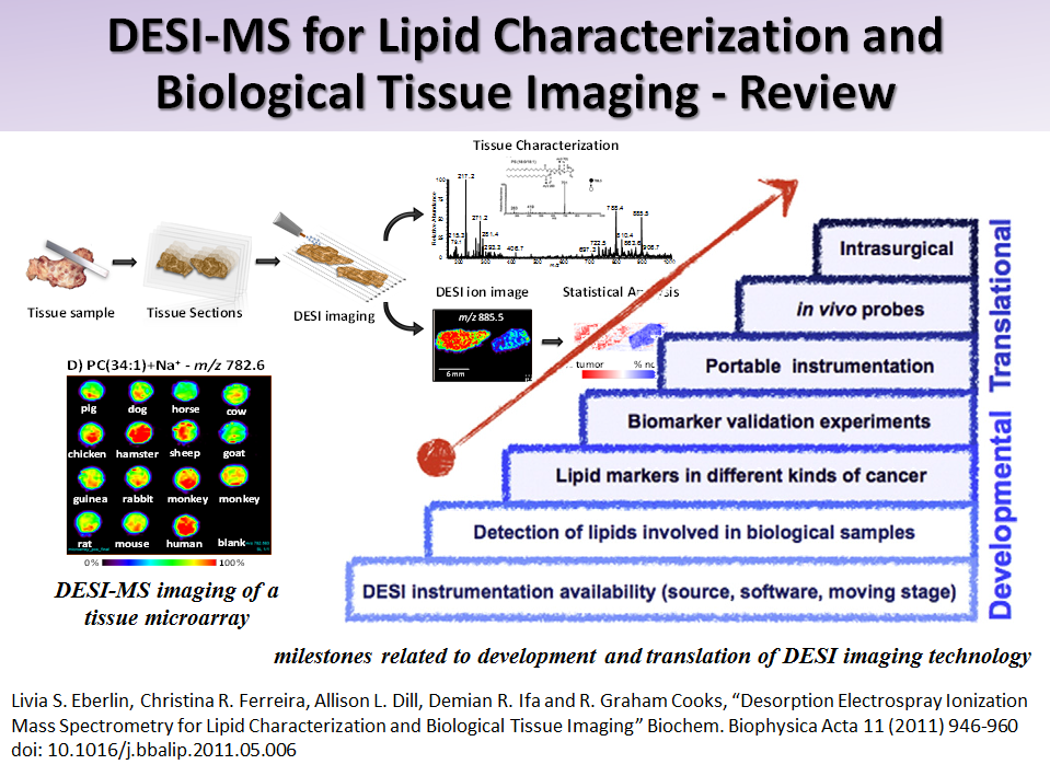 DESI-MS for Lipid Characterization and Biological Tissue Imaging - Review