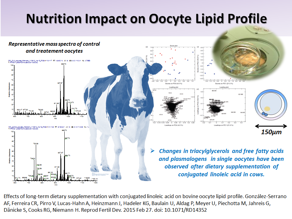 Nutrition Impact on Oocyte Lipid Profile