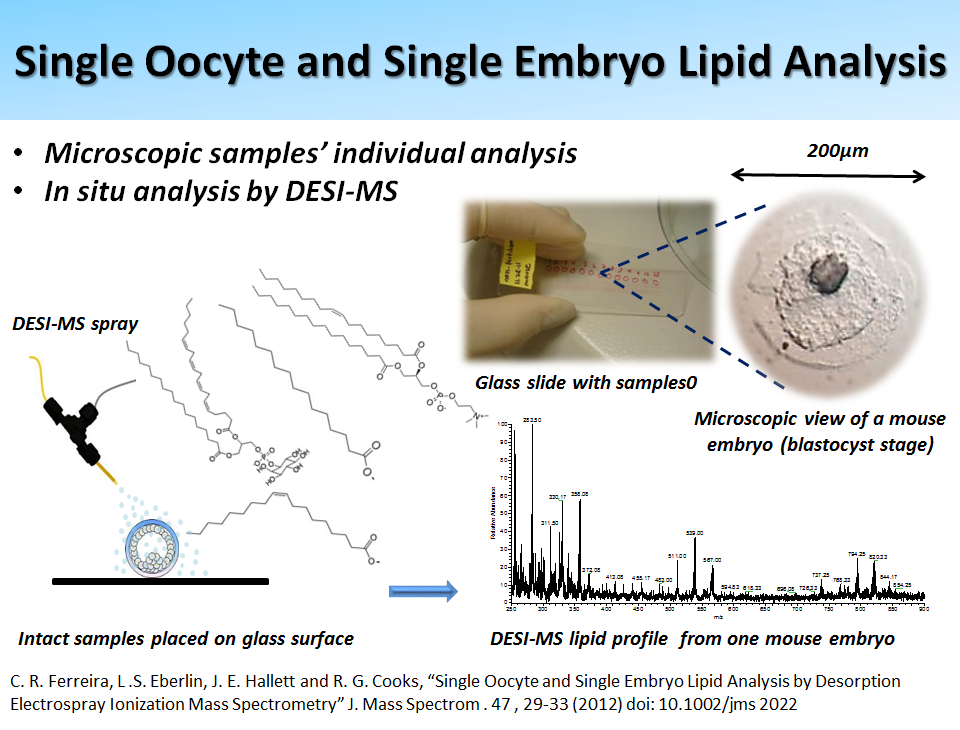 Single Oocyte and Single Embryo Lipid Analysis
