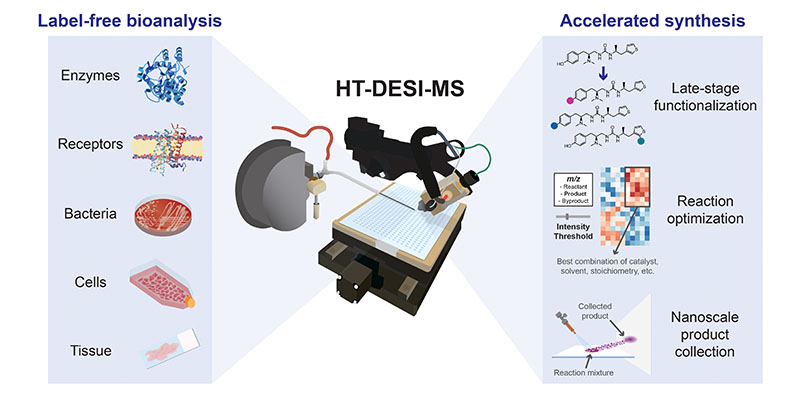 High-throughput DESI-MS analysis