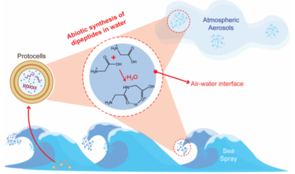 Potential avenues for microdroplet generation of dipeptides in the early Earth environment 