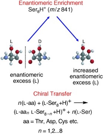 Chiral enrichment via the serine octamer