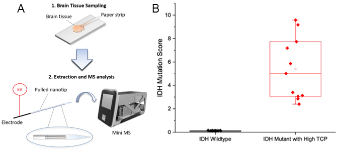 Brain Cancer Diagnostics