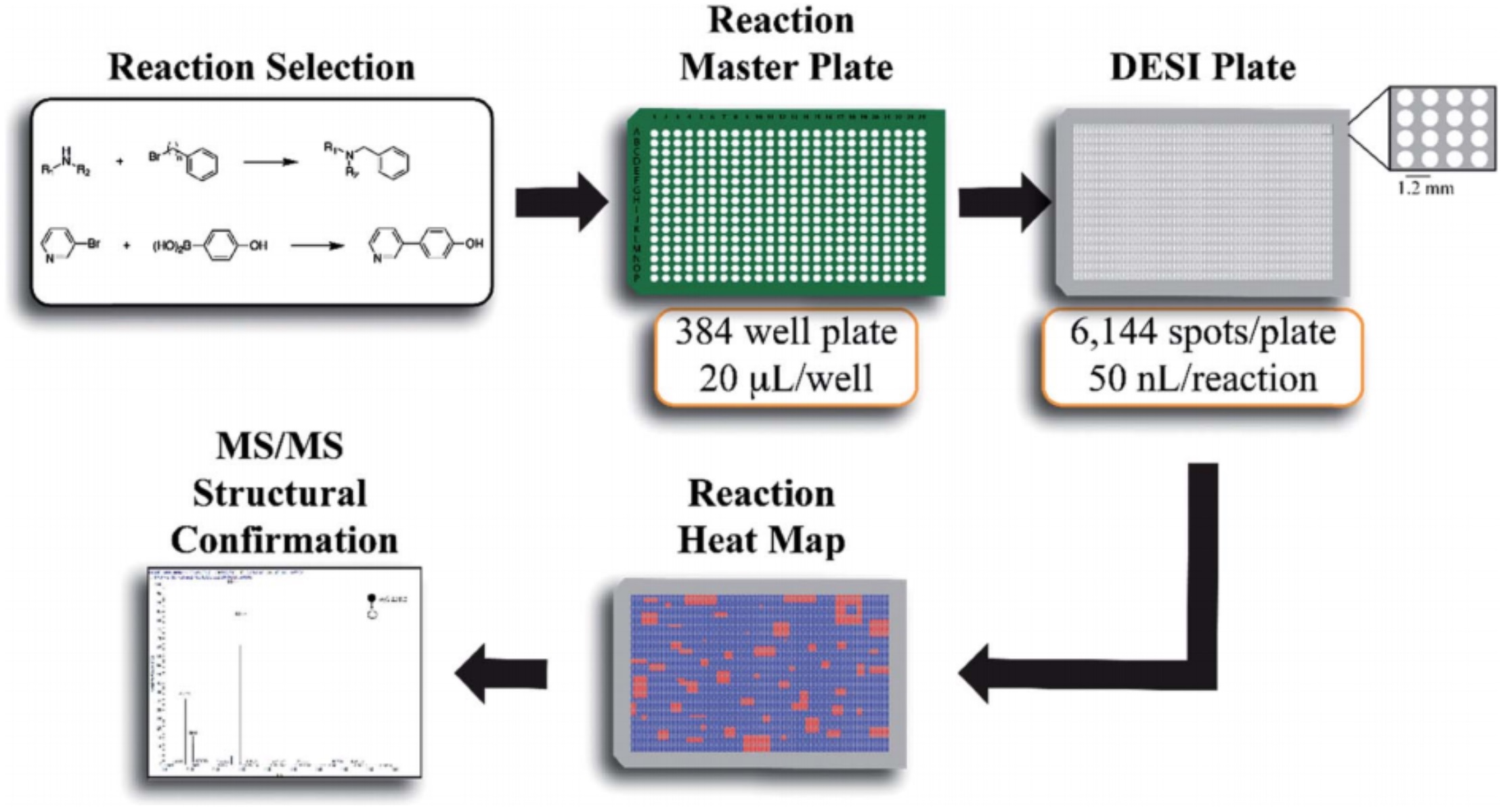 Screening model. High-throughput Multi-well Plate processing это. WCDMA throughput vs Echo. Anode spots.