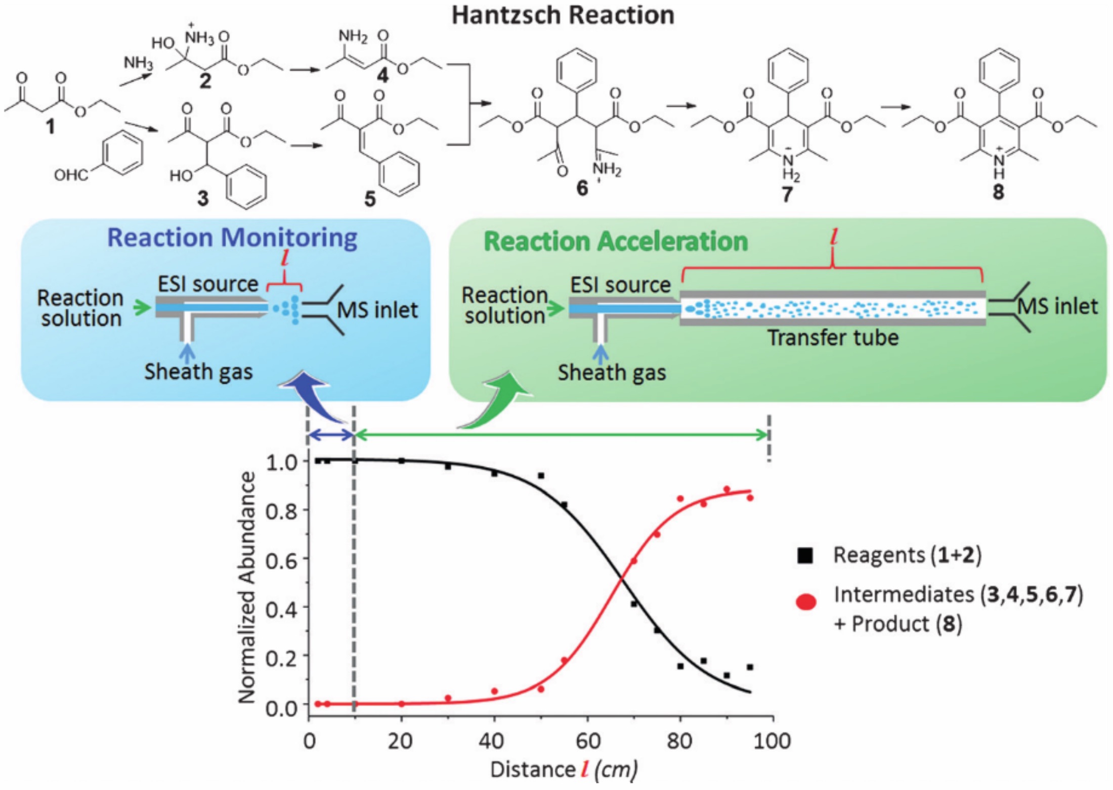 Reactions in Confined Volumes